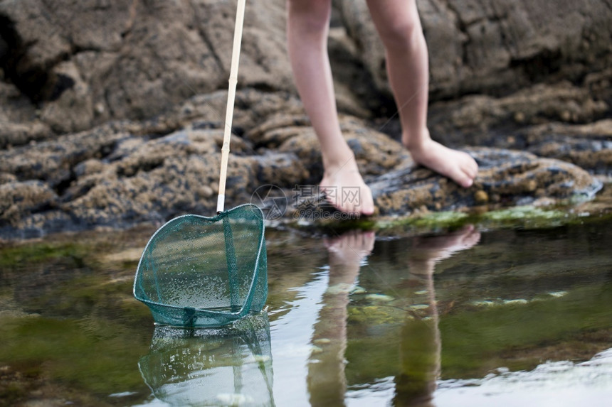 白种人螃蟹童年近距离使用网罗岩池钓鱼儿童图片