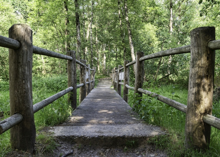 小路旅行一座木桥在HollandinOisterwijk这样的小河上架设一座木桥公园里有绿树由干制成的木桥作图片
