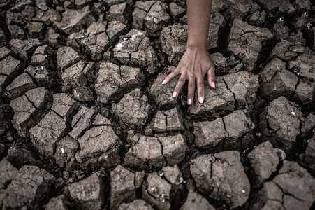 环境种植手握在地面上全球变暖和水危机肮脏的图片
