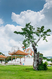 泰国Sawaan公园共地标新鲜的灯天空图片
