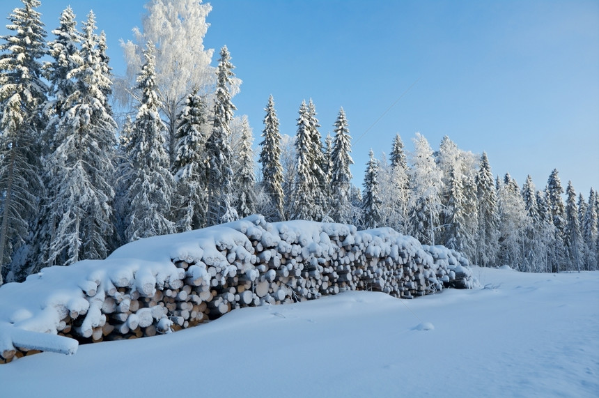 冬季地貌由下层覆盖的日志堆积美丽雪花白色的图片