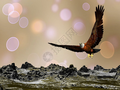 天空之上鹰在山飞行棕色波克背景3D秃图片