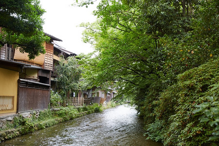 景点京都地标文化图片