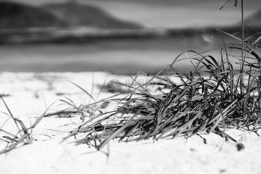 黑白沙滩风景图片