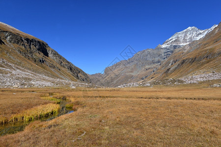 瓦努斯自然蓝天下黄草小河穿越高山的美丽风景蓝天下黄草小河穿越高山冰川图片