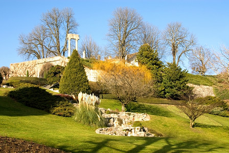 分支机构一种树木在瑞士洛桑附近的一个公园里小石头花园背景图片
