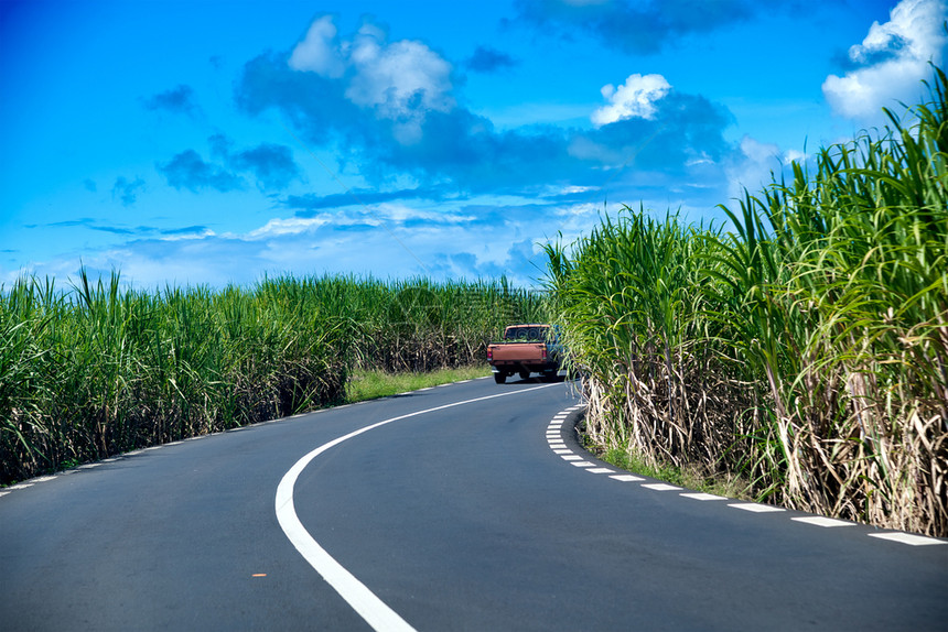 景观沿着旅游毛里求斯公路行驶图片