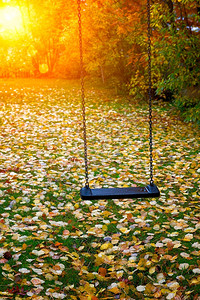 秋季公园里的秋千图片