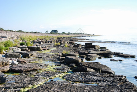 波罗的海瑞典群岛奥兰平面石灰岩海岸块结线图片