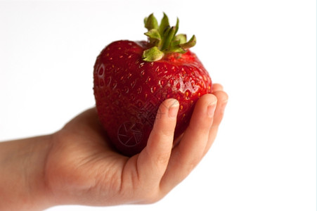 可口一只手中草莓健康林恩图片