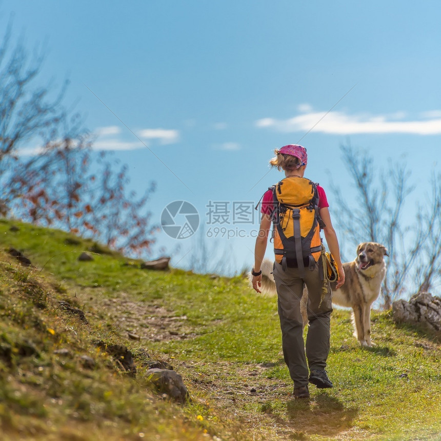 女孩远足者和他的狗在路上散步美丽的自然友谊图片