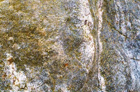 石头的纹理海背景头的纹理结地质学光滑的图片