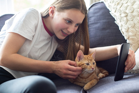 在家移动电话上携带宠物猫自拍的青少年女孩白种人爱的手机图片