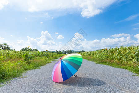 彩色伞田云蓝天白云公路上彩色的伞背景