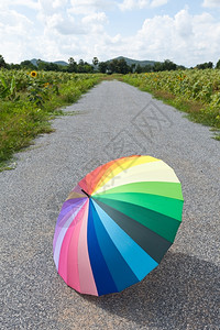 彩色伞田云蓝天白云公路上彩色的伞背景