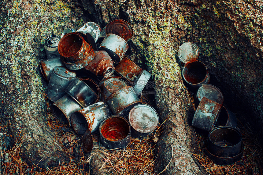 空的树下罐头生锈旧金属罐森林污染人对自然的影响回收有创造力的图片