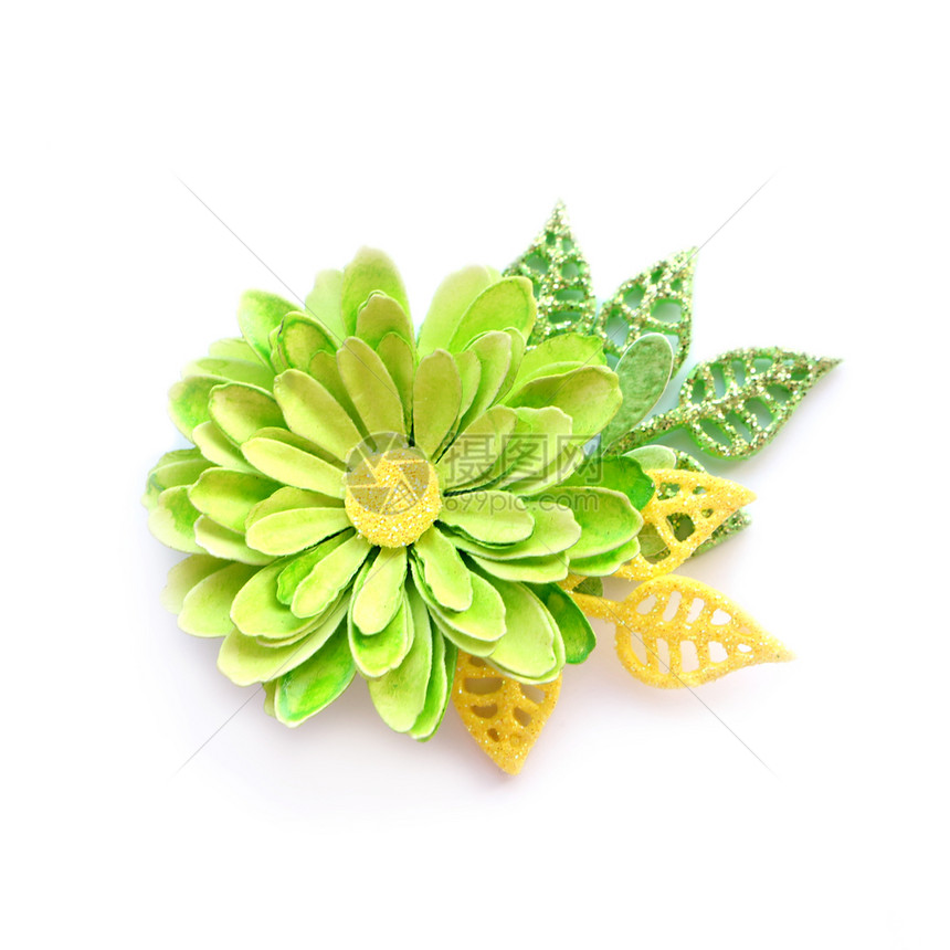 绿色颜和叶子是黄绿的纸花在白背景复制空间上隔绝成份以单形式分离纸艺树叶赞扬图片