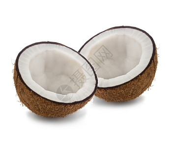 在白色背景上孤立的椰子圆形毛茸可口图片