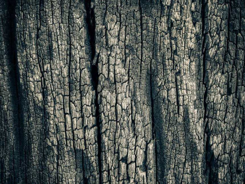 暗棕皮的近身干燥纹质地代表底的乌作为木制的垃圾摇滚裂缝图片