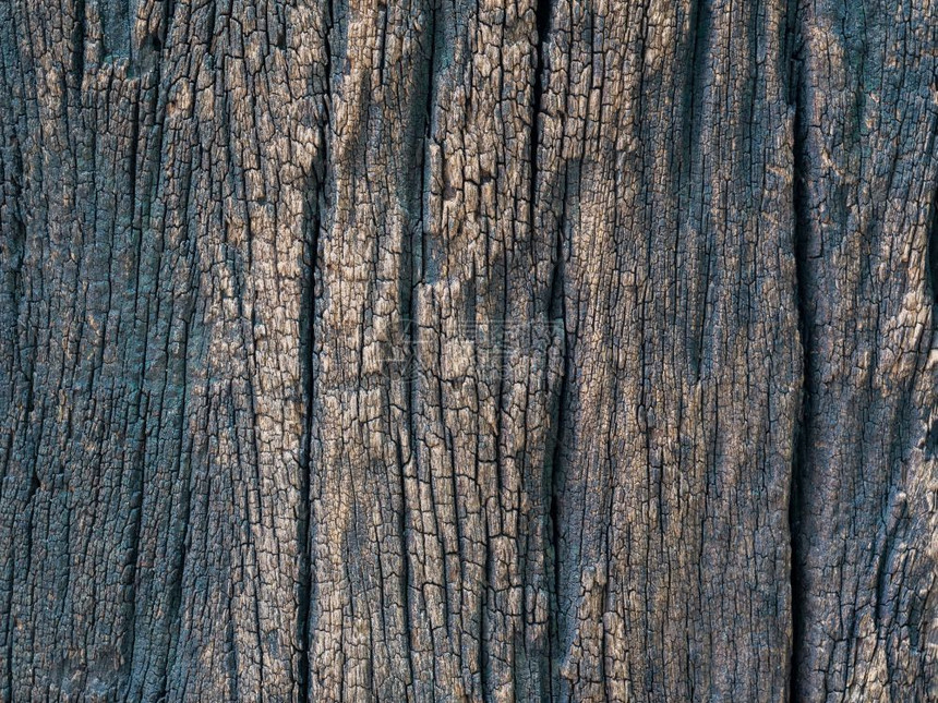 为了自然暗棕皮的近身干燥纹质地代表底的乌作为裂缝图片