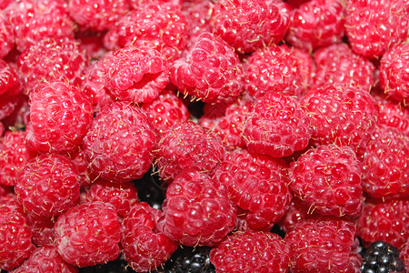 丰盛的红熟和美味草莓作物中夏天市场维他命图片