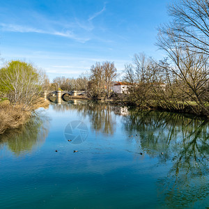 西班牙莱昂卡里翁河上的石桥图片