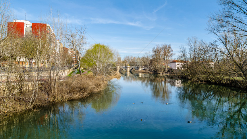 结石西班牙帕伦亚卡斯蒂利和莱昂卡里翁河上的中世纪石桥水旅游图片