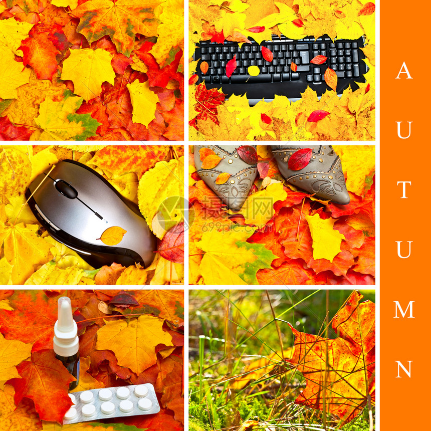 秋季的山间美景和落叶图片