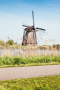 清除荷兰Kinderdijk风车照片植物群风景图片