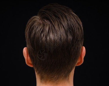 可爱的成人黑发以背景隔离的棕色头发缝合时对男发型的后视线图片