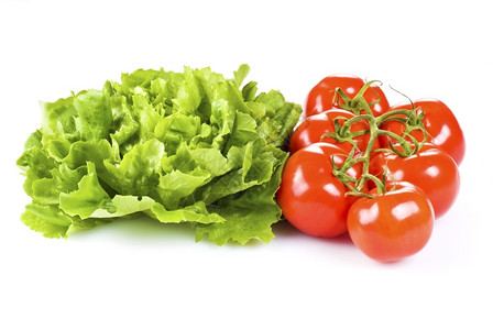 番茄叶子生产白底孤立的新鲜西红柿和生菜图片