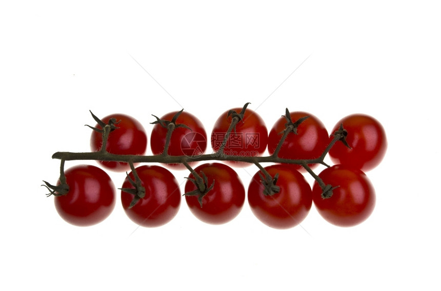 素食主义者白种背景孤立的樱桃西红柿色的束图片