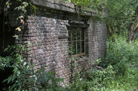 考古学安提瓜旅行老的废墟在荷兰森林有窗户图片