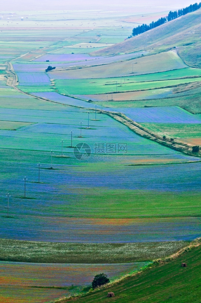 颜色山见过种植扁豆的卡斯特卢乔平原海拔140米从上方看卡斯特卢乔平原图片