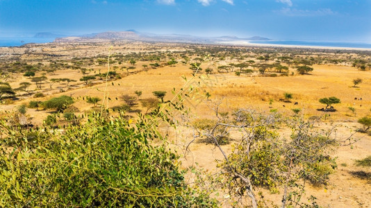 塔敏查干沙漠阿布亚塔非洲高清图片
