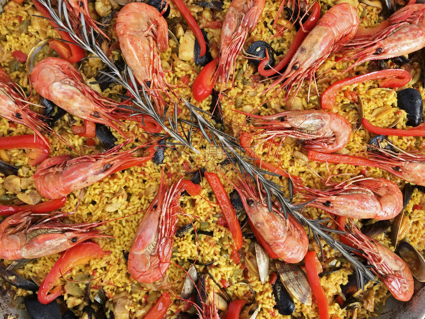 白饭陈列柜一锅新鲜煮的辣椒酱展示品在黄稻上用两支迷迭香蘑菇煎熟的虾贝壳和蛤青口图片