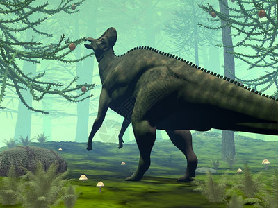 鸭嘴龙插图自然树干冠龙恐在南洋杉树林中进食3D渲染冠龙恐进食设计图片