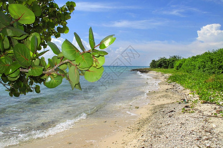 旅行普拉亚古巴美国加勒比海PlayaGiron水利图片