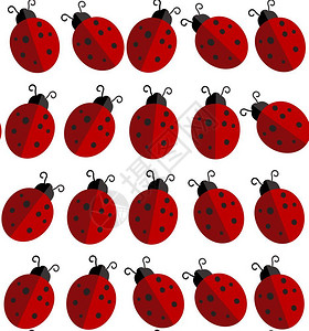 美丽的或者为了白色背景插图Ladybird或光背景的红色小滴式样板Cartoon插图用于纺织品的无线昆虫纹理背景图片
