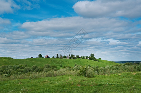 场地俄罗斯春季草与花朵阿卡安格尔斯克地区俄罗北部阿尔汉格斯克阳光图片