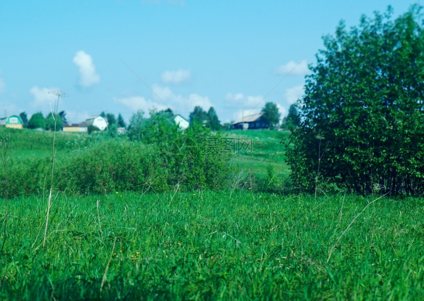 夏天阿尔汉格斯克俄文州北罗斯村庄Arkhahangelsk州图片
