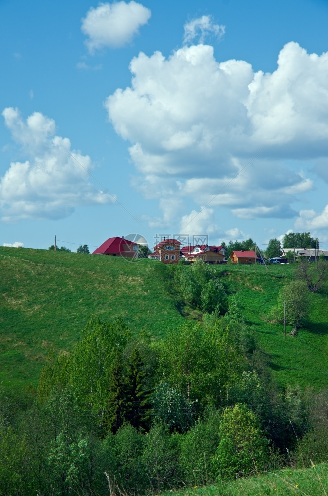 北俄罗斯村庄Arkhahangelsk州树木景观乡村的图片
