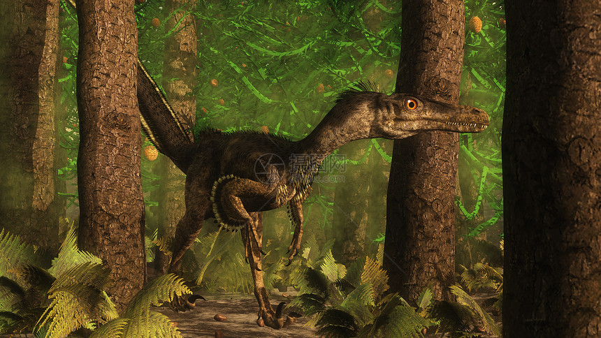 危险的在Araucaria树林中观测的迅猛恐龙3D使森林中的迅猛恐龙3D产生兽脚亚目使成为图片