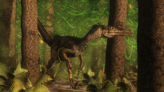 观察动物危险的在Araucaria树林中观测的迅猛恐龙3D使森林中的迅猛恐龙3D产生兽脚亚目使成为设计图片
