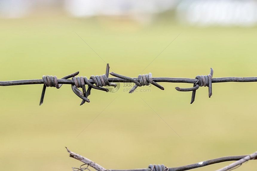 oopicapi用作围栏以关闭一片绿草地的铁刺丝网详情倒钩瓜拉纳皮图片