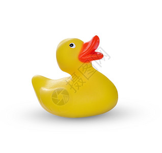 心白上孤立的黄色橡皮鸭洗澡白的图片