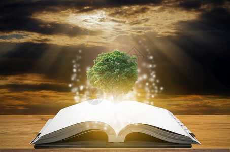 广东开放大学大学文教育知识概念和从开放书中植树阅读设计图片