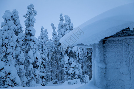 松树晚上冬夜下大雪森林边缘的小雪屋冬季森林边缘的小雪屋寒冷图片
