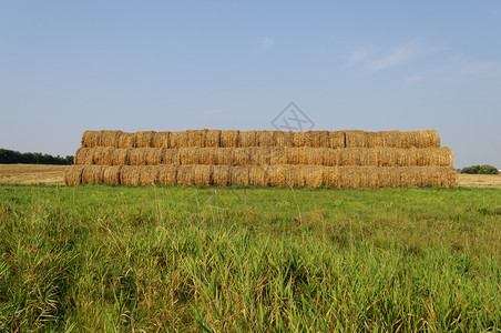 乡村风景草地上的大干阳光明媚的夏日土地农场包图片