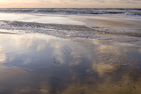 地平线浪潮海滩日落孢子图片